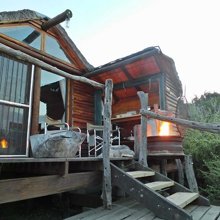 Вилла Addo Dung Beetle Guest Farm Экстерьер фото