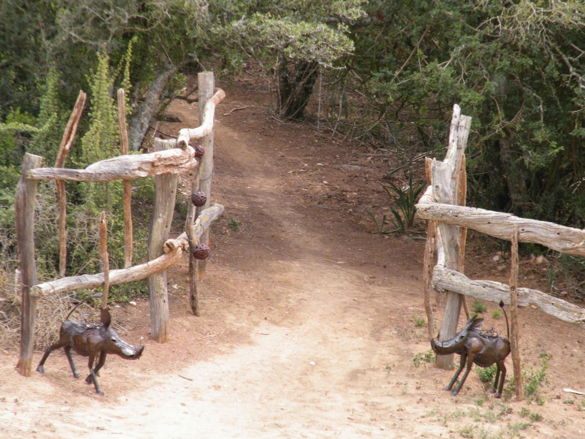 Вилла Addo Dung Beetle Guest Farm Экстерьер фото