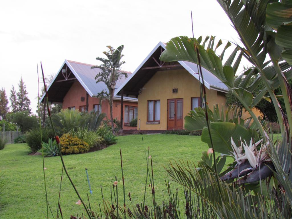 Вилла Addo Dung Beetle Guest Farm Номер фото