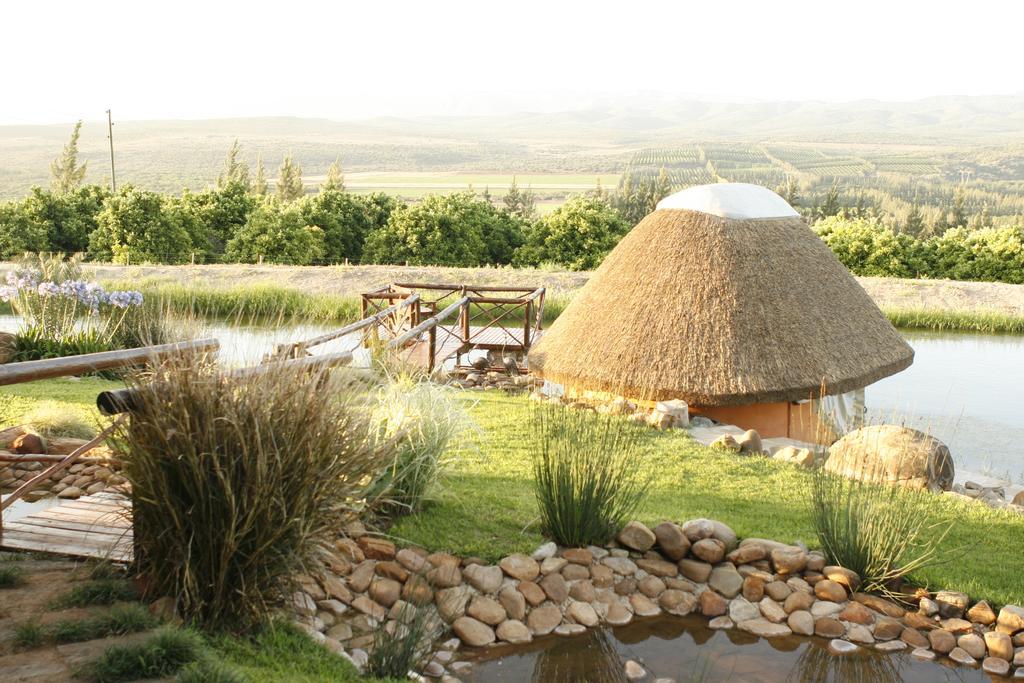 Вилла Addo Dung Beetle Guest Farm Экстерьер фото