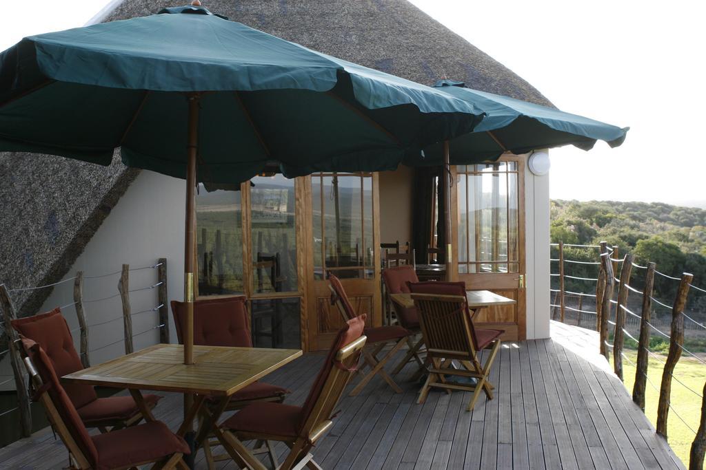 Вилла Addo Dung Beetle Guest Farm Экстерьер фото