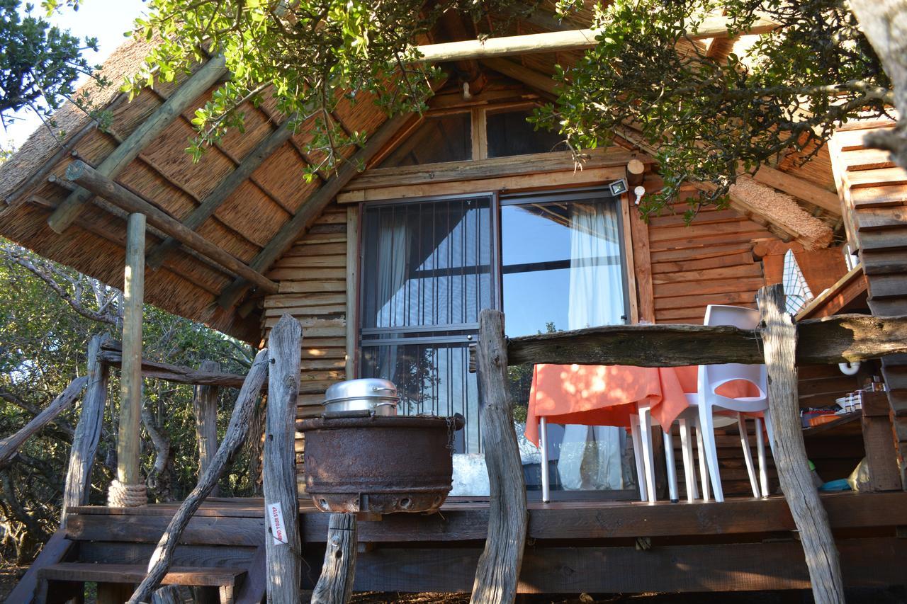 Вилла Addo Dung Beetle Guest Farm Экстерьер фото