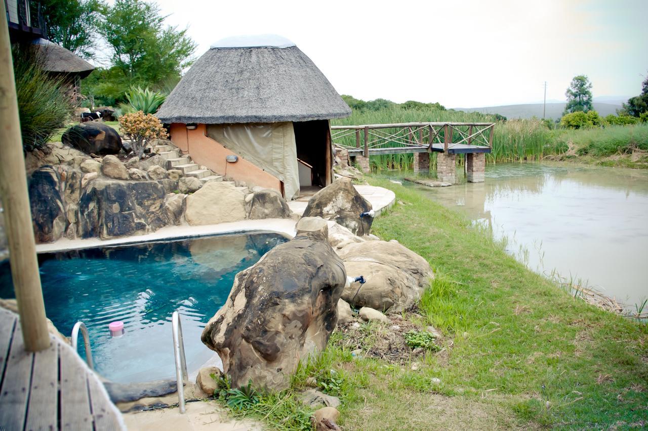 Вилла Addo Dung Beetle Guest Farm Экстерьер фото
