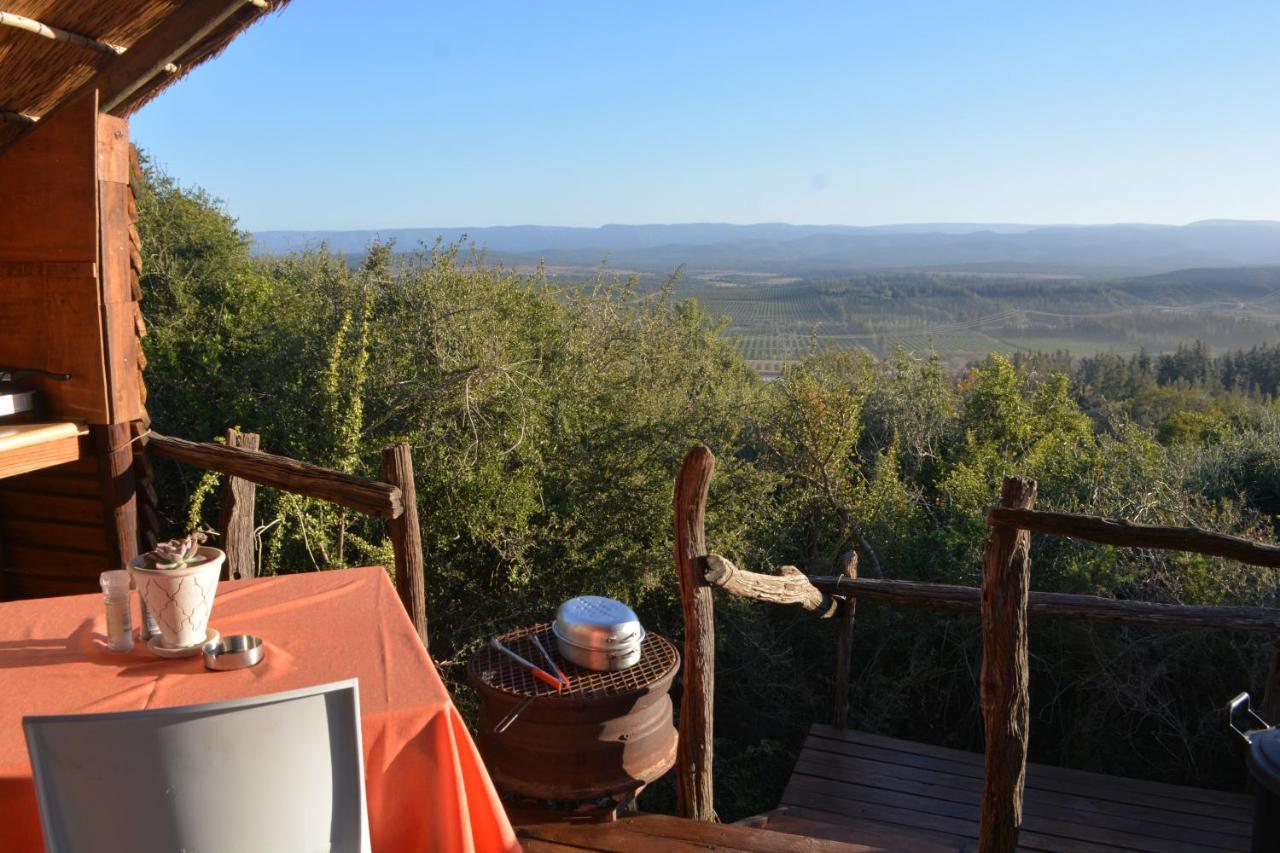 Вилла Addo Dung Beetle Guest Farm Экстерьер фото
