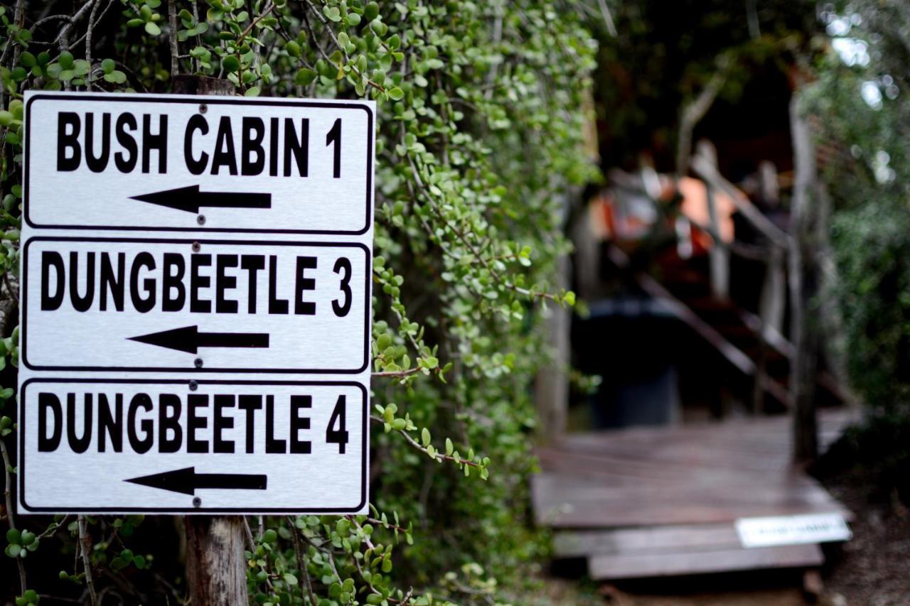 Вилла Addo Dung Beetle Guest Farm Экстерьер фото
